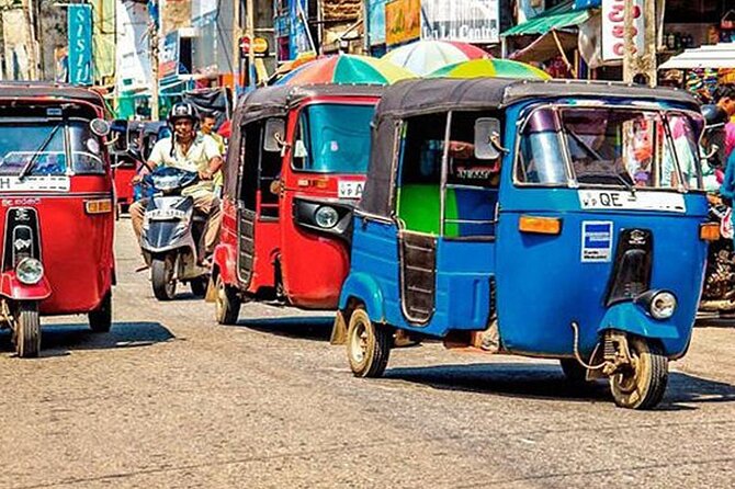 Galle City Sightseeing Tour by Tuk Tuk - Sea Turtles at Habaraduwa and Stilt Fishermen: Coastal Life in Action