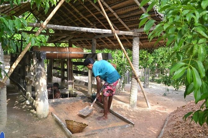 Galle Day Private Tour Beruwala/Bentota/Kosgoda/Ahungalla - Stop 1: Induruwa Sea Turtle Conservation Project (why start here)