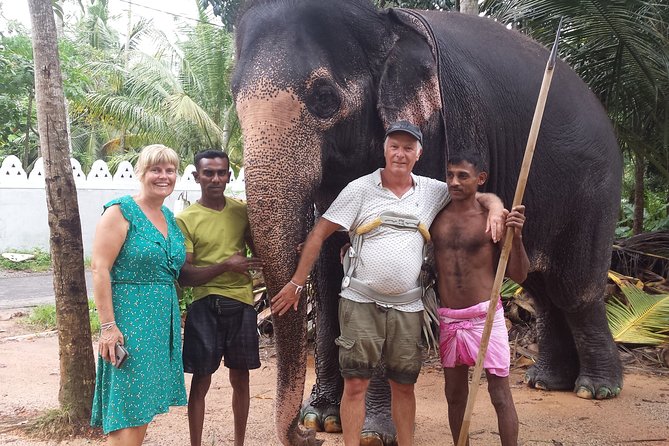 Galle Day Tour From Colombo - Madu River mangrove safari: wildlife-spotting on the water