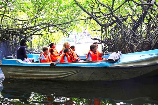 Galle Day Tour from Colombo or Negombo by Private Car , Van with Driver - Private car and chauffeur: what you’re really paying for