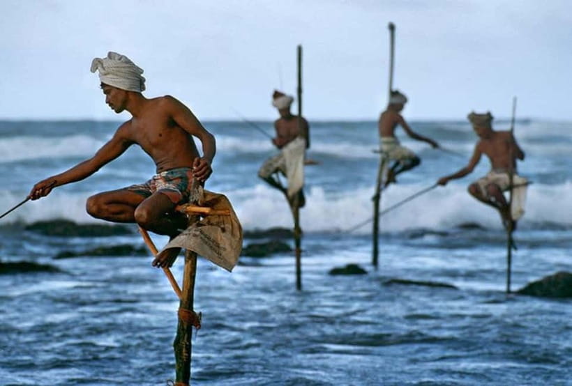 Galle Day Trip - River Safari, Sea Turtle & Stilt Fishermen - Why This Galle Fort and Bentota Day Trip Works