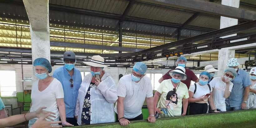 Galle Day Trip with River Safari, Sea Turtles & Tea Factory - Sea turtle conservation project: more than a photo stop