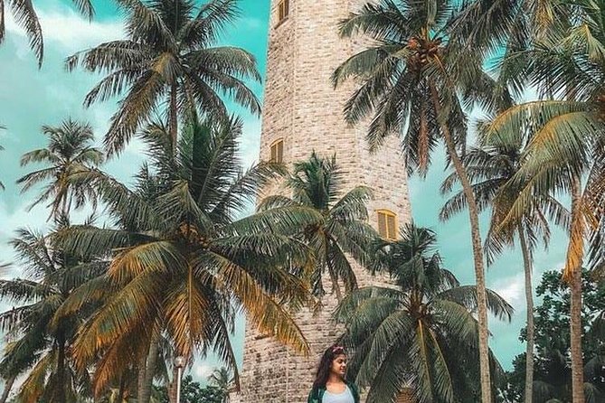 Galle Fort & Bentota Day Trip from Colombo - Sea Turtle Protection Association at Mahamodara: what you’re actually supporting