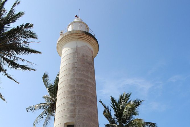 Galle Fort, Turtle, - Private Day Tour From Negombo or Colombo - Madu wetlands: nature time that breaks up the day