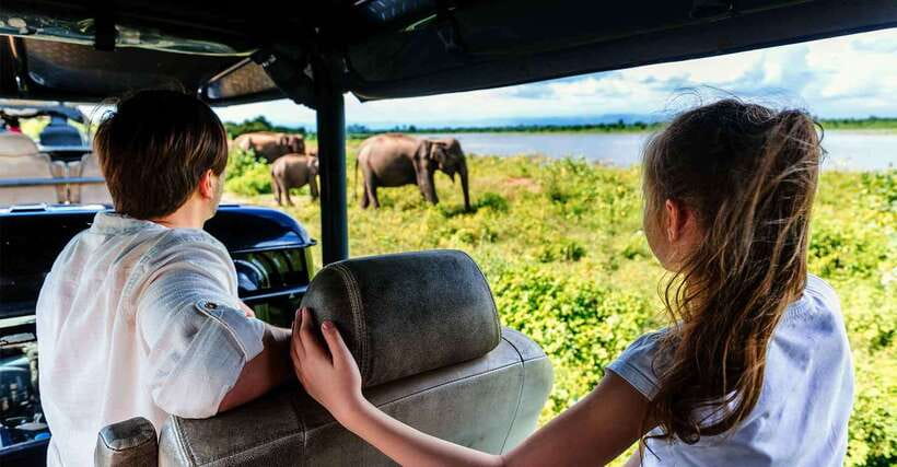 Galle/Mirissa/Hiriketiya: Drop to Ella & Udawalawa Safari - Key highlights worth planning for