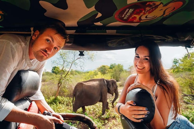 Galle/Mirissa/Hiriketiya: Drop to Ella & Udawalawa Safari - A day that links the south coast to Ella through Udawalawe