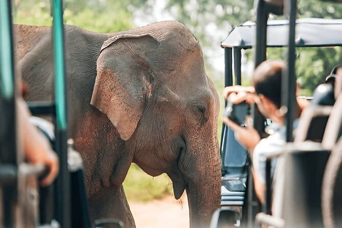 Galle/Mirissa/Tangalle: Transfer to Ella & Yala/Udawalawa Safari - Transfer time and how to plan your day around it