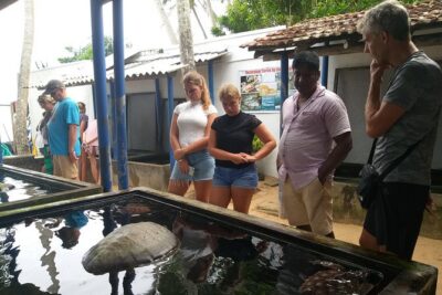 Galle sightseeing tour - Galle Dutch Fort: walking a layered fort with context