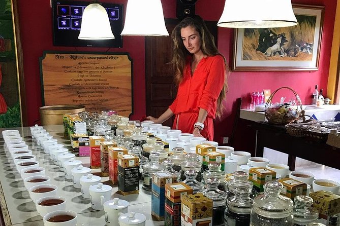 Galle sightseeing tour - Handunugoda Tea Estate: learn the process and taste what you came for
