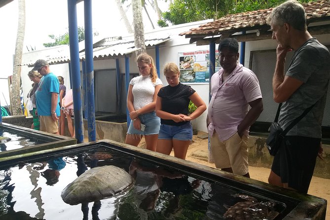 Galle sightseeing tour - Galle Dutch Fort: walking a layered fort with context