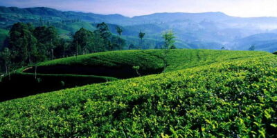Galle/Weligama/Mirissa/Hiriketiya/Tangalle: Day Trip to Ella - 5:30 AM pickup and the ride you’re paying for