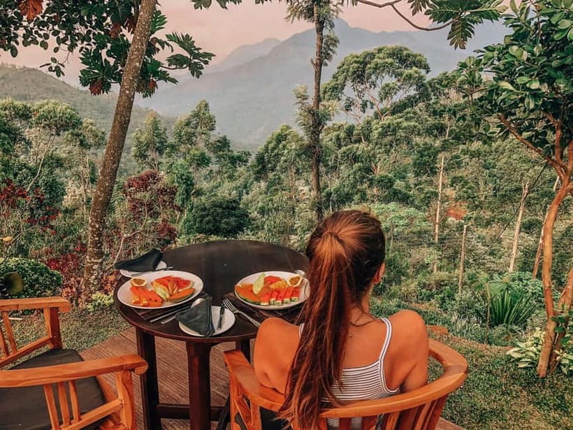 Get a private driver for day tours around Sri Lanka - Why a private driver day tour works so well in Sri Lanka