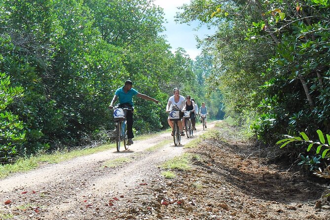 Half-Day Lagoon and Village Cycling Tour in Galle - Why this lagoon-and-village ride feels different from a standard Galle tour