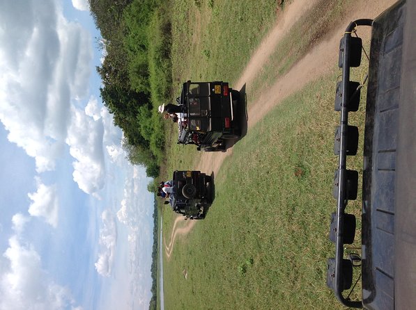 Half Day - Minneriya National Park Safari Tour From Habarana/Sigiriya - Price and what you still need to pay on top
