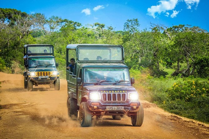 Half Day Safari at Yala National Park with Lunch - Price and value: is $189 fair for a Yala half-day with lunch?