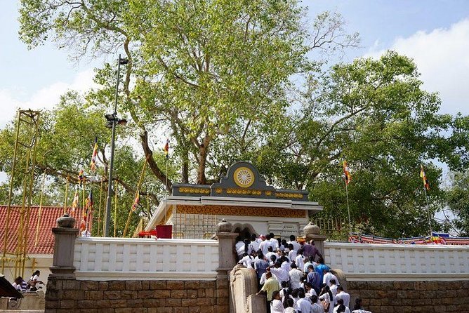 Half day tour - in Sacred city of Anuradhapura Or sacred city of Mihintale. - Why Anuradhapura’s sacred circuit fits into 3–4 hours