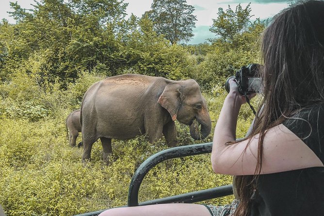 Half Day Udawalawe Safari (Entrance + Lunch) - Key things I’d circle before you book