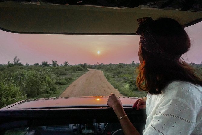 Half Day Udawalawe Safari (Entrance + Lunch) - Why Udawalawe works for elephant spotting and more birds than you expect