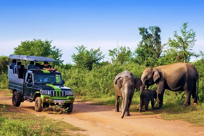 Half Day Udawalawe Safari (Entrance + Lunch) - Practical tips so you enjoy the jeep safari part more