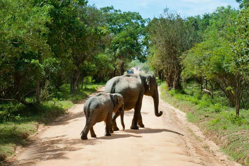 Hambantota Shore Excursion: Village and Cultural tour - Temple Stops and Temple Walking: Dress and Comfort Are Not Optional