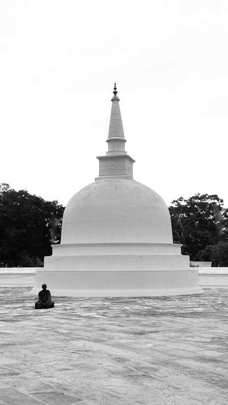 Hambantota Shore Excursion: Village and Cultural tour - Safari-Style Wildlife Viewing in the Hambantota Area