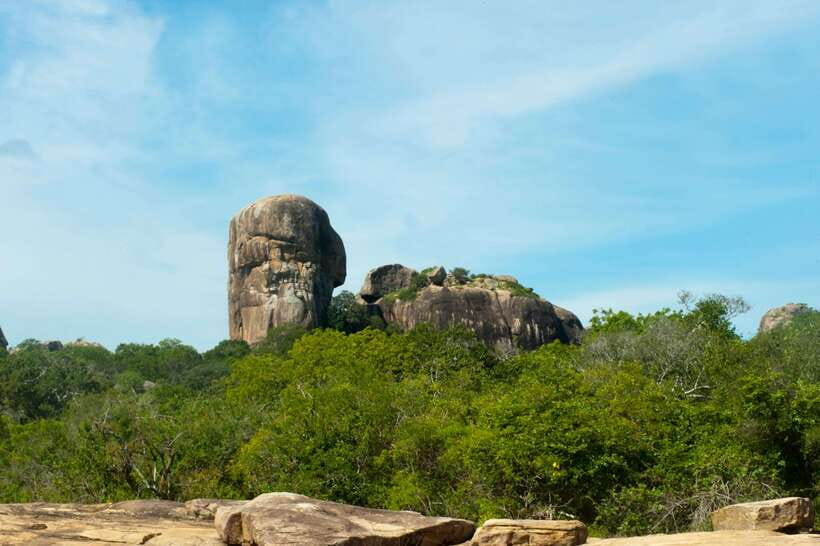 Hambantota Shore Excursion: Village and Cultural tour - Pickup From Hambantota Port and the Ride Into the Countryside