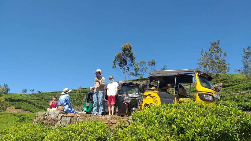 Haputale:Glorious Tuk Tuk Ride to Lipton'sSeat & Tea Factory - Tea Plantation Picnic and Tea-Plucking With the People Who Do the Work