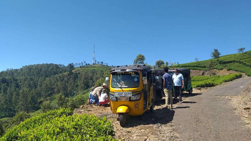 Haputale:Glorious Tuk Tuk Ride to Lipton'sSeat & Tea Factory - Price and Time: Is $35 a Fair Deal for a 5-Hour Tea Day?