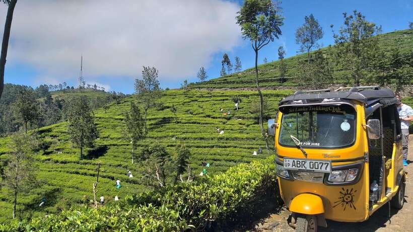 Haputale:Glorious Tuk Tuk Ride to Lipton'sSeat & Tea Factory - Who This Tour Fits Best (And Who Should Skip It)