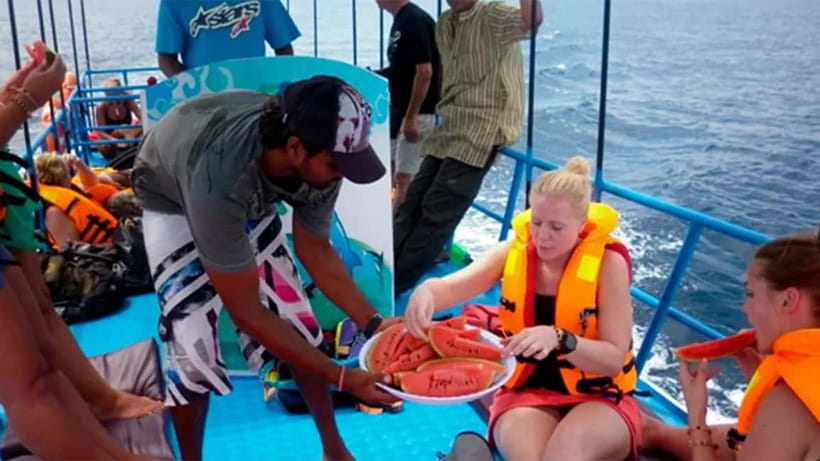 Hikkaduwa/Galle/Ahangama: Whale Watching Tour in Mirissa - Key highlights to look for
