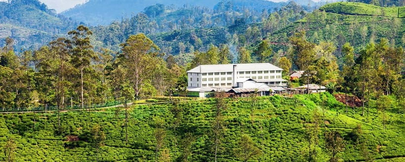 Hikkaduwa/Galle/Mirissa/Hiriketiya/Tangalle:Day Trip to ELLA - Budget and Value: What $60 Covers (and What Costs Extra)