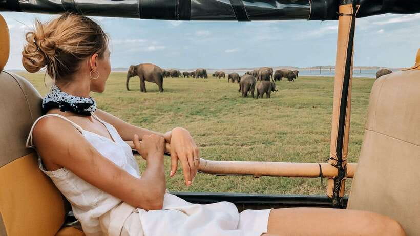 Hikkaduwa/Galle/Weligama/Mirissa/Tangalle: Udawalawa Safari - Key things to know before you go