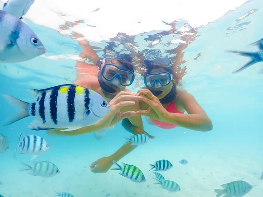 Hikkaduwa Snorkeling Tour: 2 Hours of Underwater Adventure - Why Hikkaduwa’s shallow reefs fit a 2-hour plan