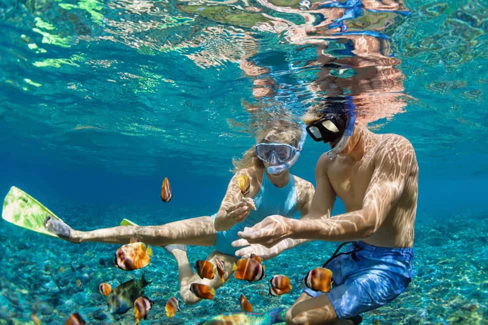 Hikkaduwa Snorkeling Tour: 2 Hours of Underwater Adventure - The Marine Sanctuary swim: coral, tropical fish, and turtle odds