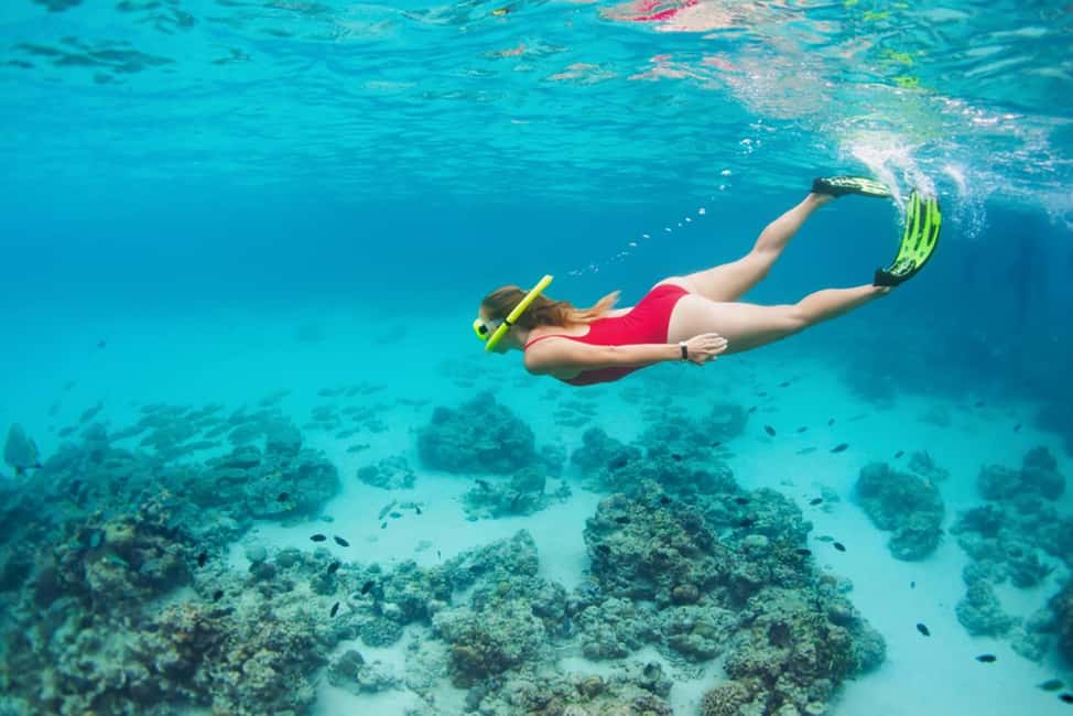 Hikkaduwa Snorkeling Tour: 2 Hours of Underwater Adventure - What you do during the 2 hours on the water (and what you skip)