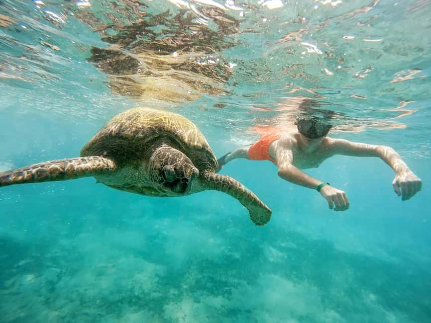 Hikkaduwa Snorkeling Tour: 2 Hours of Underwater Adventure - Post-snorkel comfort: showers, changing space, and a cold drink
