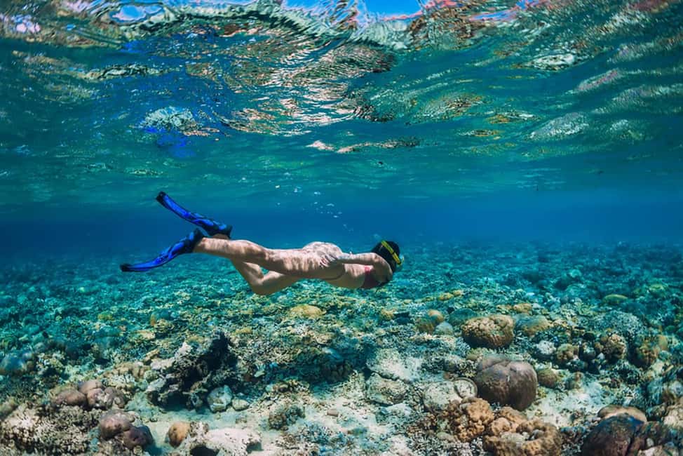 Hikkaduwa Snorkeling Tour: 2 Hours of Underwater Adventure - Price and value: is $45 fair for Hikkaduwa snorkeling?
