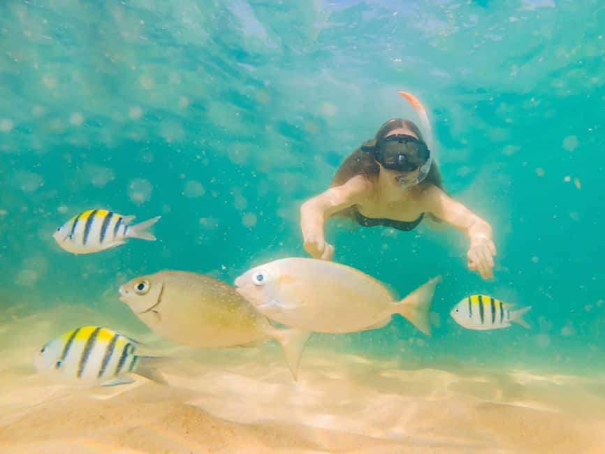 Hikkaduwa Snorkeling Tour: 2 Hours of Underwater Adventure - Practical tips that make snorkeling in Hikkaduwa smoother