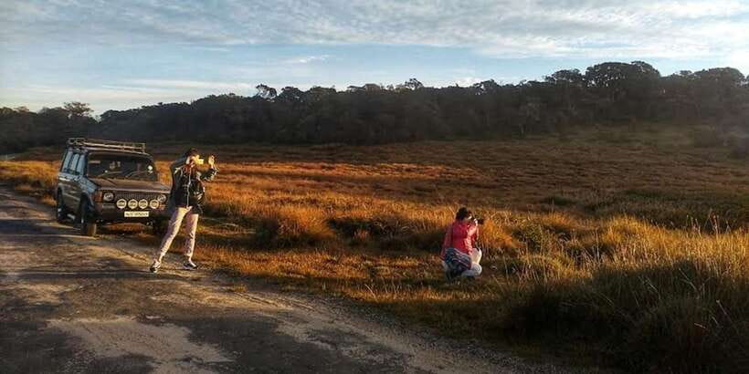Horton plains: Discover real essence of central highland - Dawn at Horton Plains: why Worlds End is worth the early start