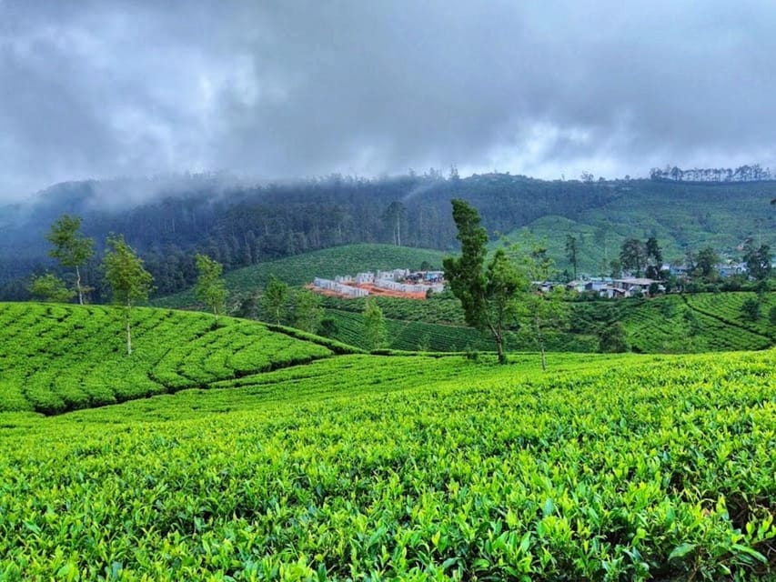 Horton plains: Discover real essence of central highland - Who this day trip fits best (and who should skip it)