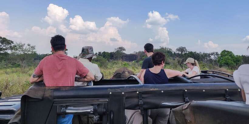 Hurulu Eco Park: 3-Hour Morning or Evening Safari - Entrance Tickets, Pickup, and Meeting Point: The Practical Bits