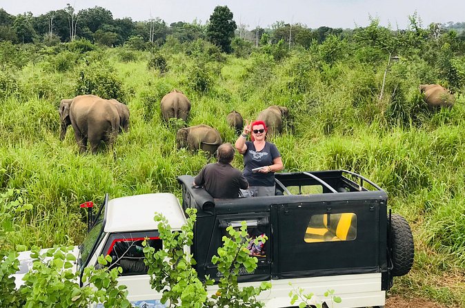 Hurulu Eco Park Half Day Safari - Price and Logistics: What $27 Really Covers