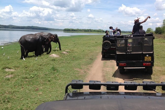 Hurulu Eco Park Safari Adventure - Hurulu Eco Park on safari: what you can expect once you’re inside