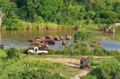 Hurulu Eco Park Safari Adventure - From Habarana to the park: timing, group size, and comfort