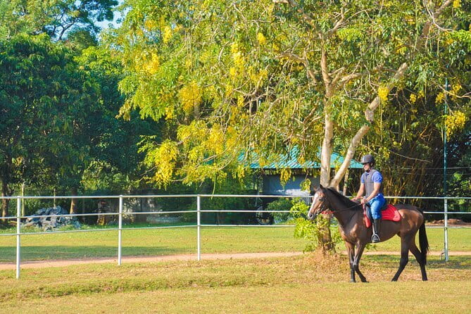 Hurulu Eco Park Safari Adventure - What to bring (and what to skip)
