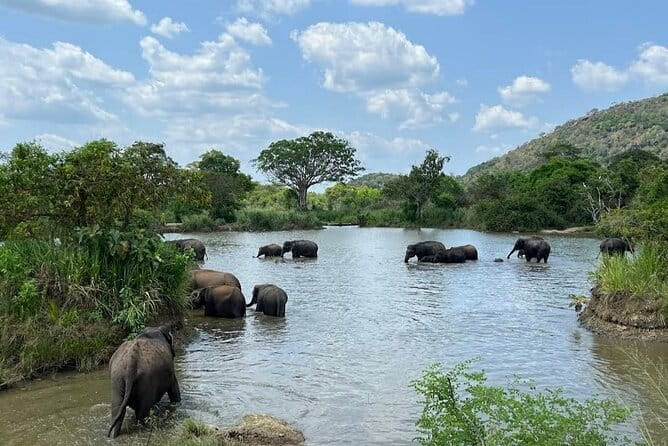 Hurulu Eco Park Safari Adventure - Best-fit traveler: who this safari suits