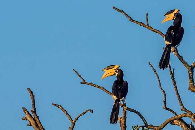 Kalametiya Bird Sanctuary Catamaran Bird Watching Tour - Price and value: is $55 worth it?