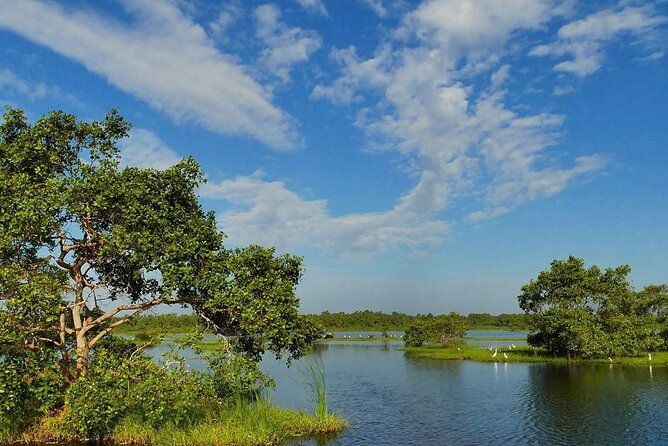 Kalametiya Bird Sanctuary Catamaran Bird Watching Tour - Getting to the lagoon: pickup by car/van or tuk tuk