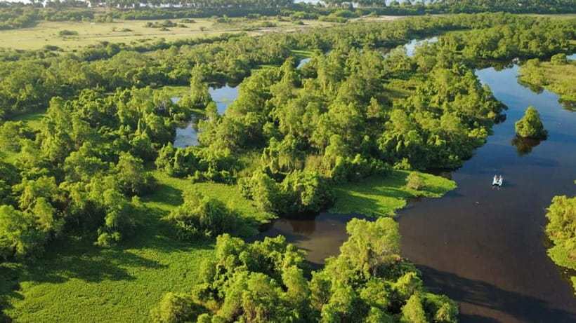 Kalametiya Sanctuary: Bird Watching by Private Boat Tour - Snacks, binoculars, and small comforts that make a difference