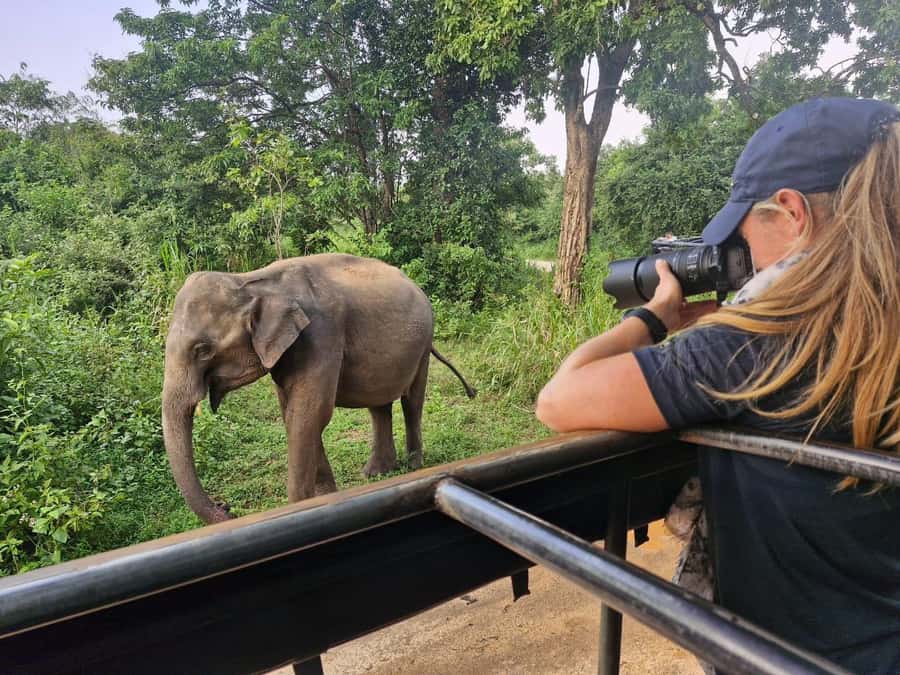 Kandy: 4-Day Sri Lanka Full Circle Private Tour To Colombo - A 4-Day Full Circle Sri Lanka Tour: why this route makes sense